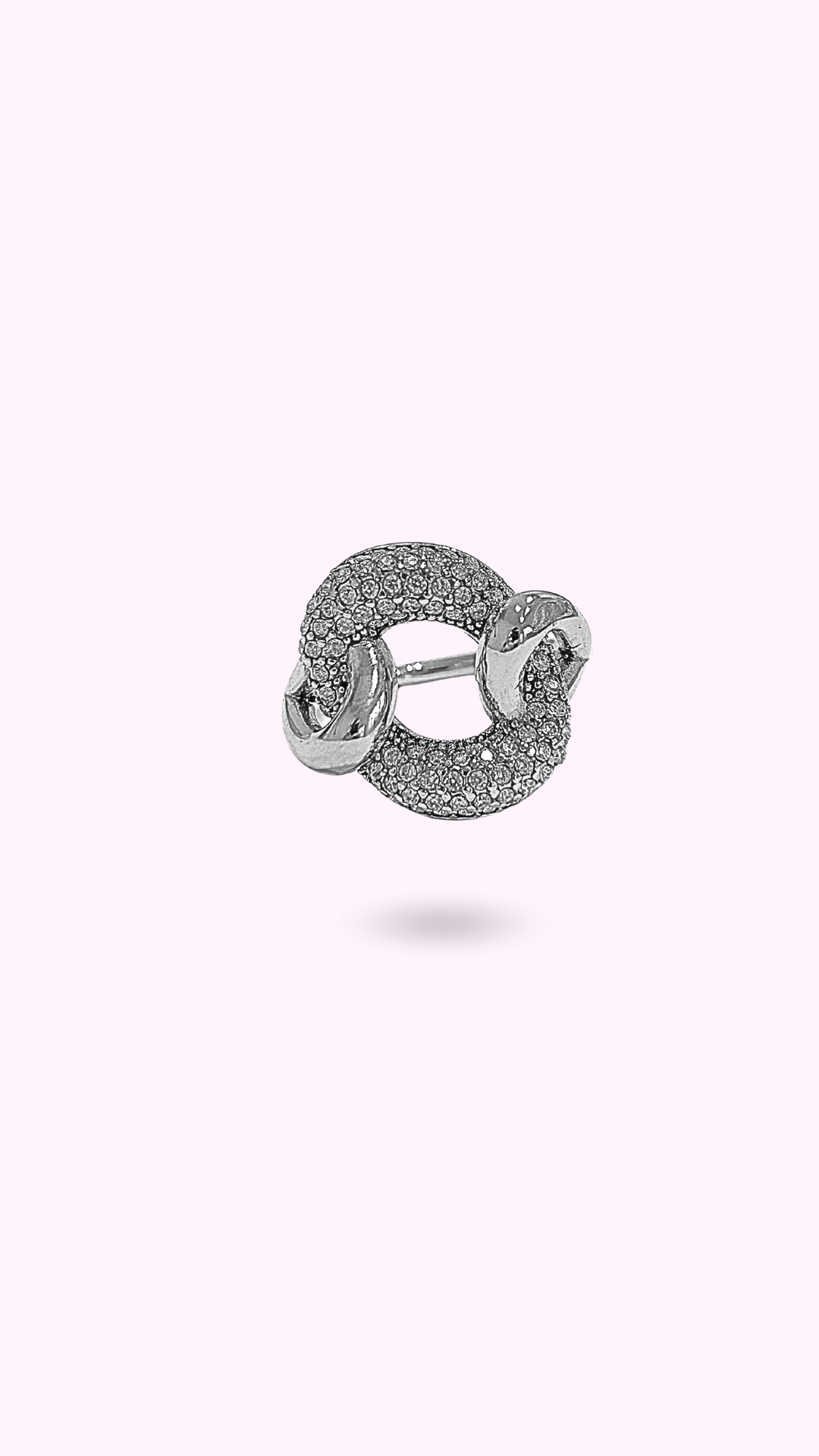 BAGUE SALINES